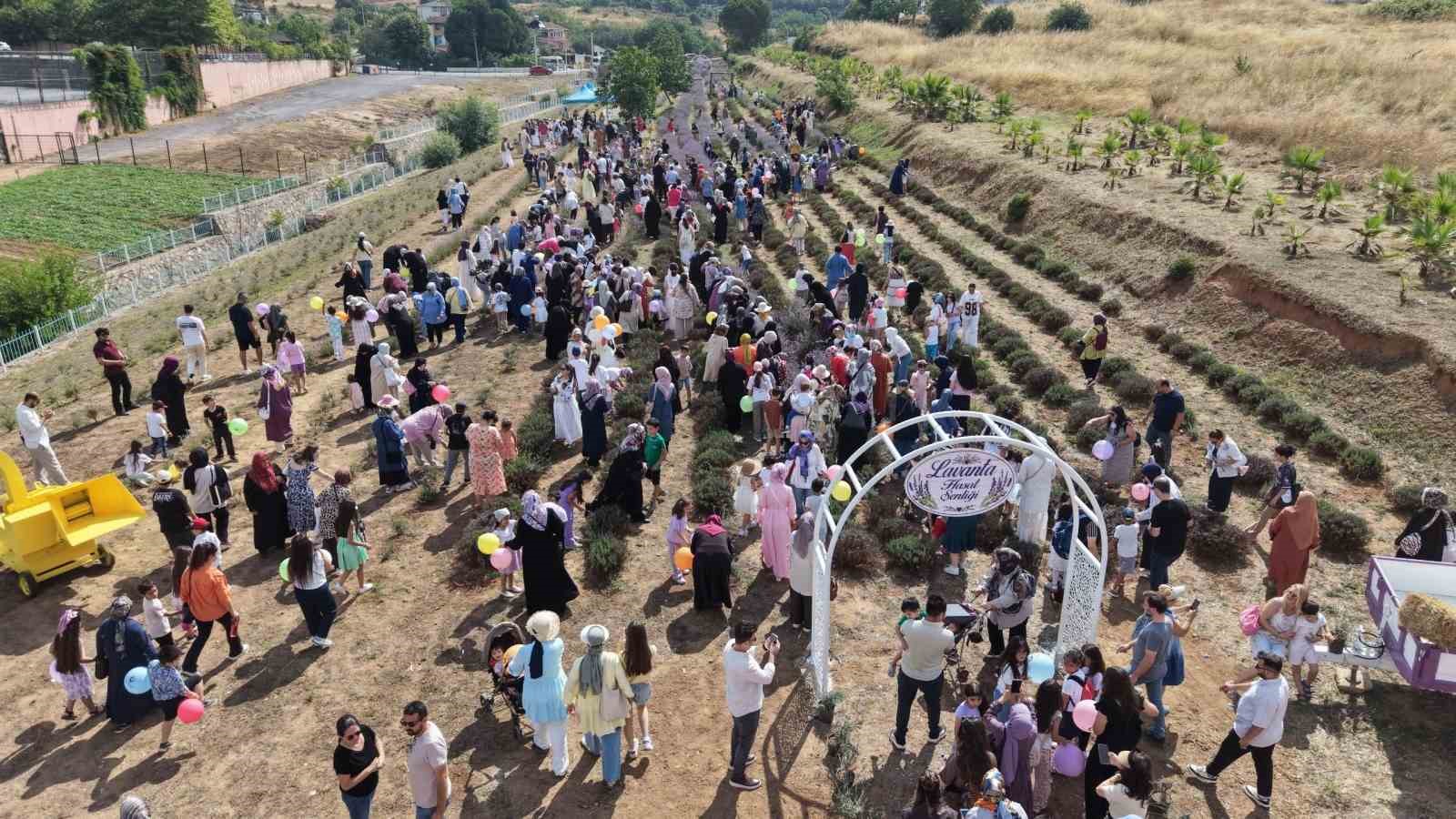 Lavanta kokuları eşliğinde hasat yaptılar
