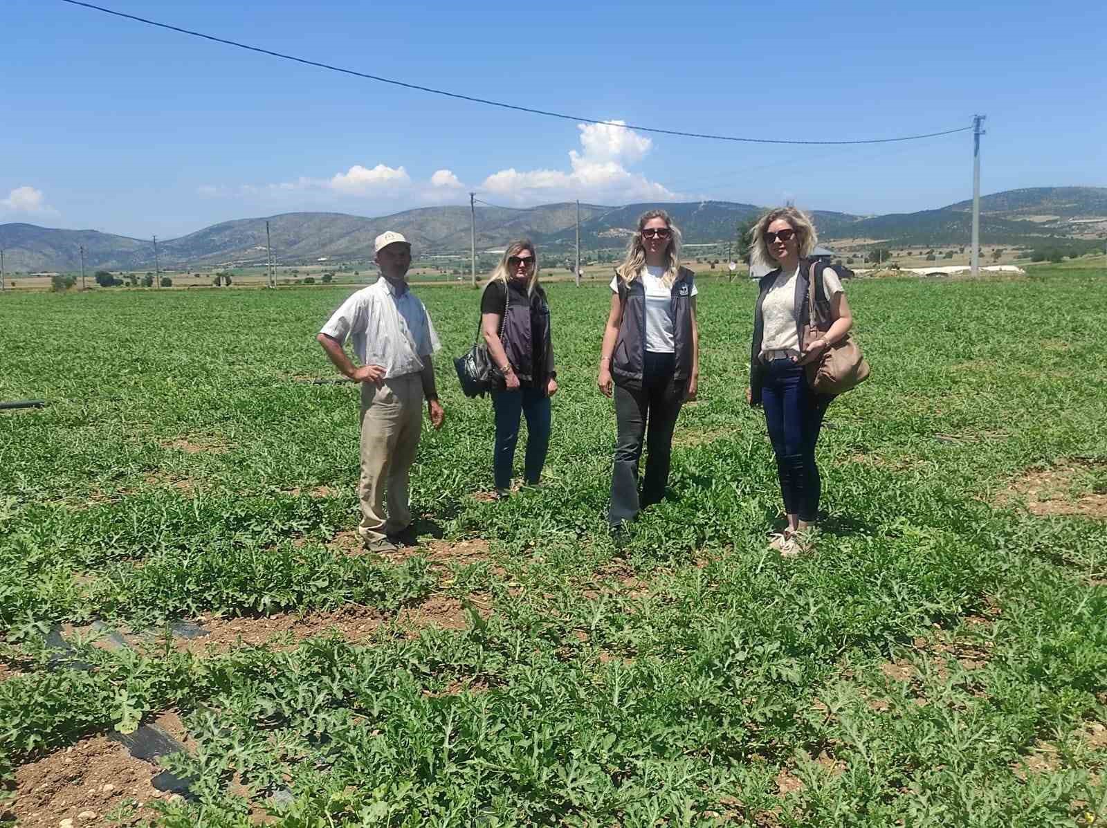 Medetli karpuzu iyi tarımla geleceğe taşınıyor
