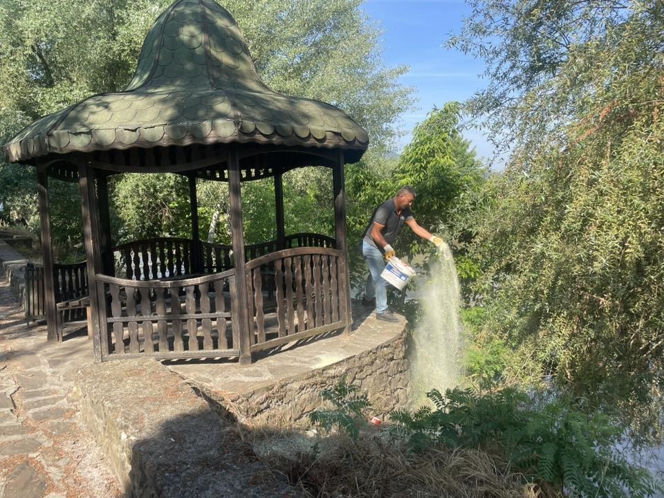 Mesire alanında haşere ve yılanlara karşı kükürt mesaisi
