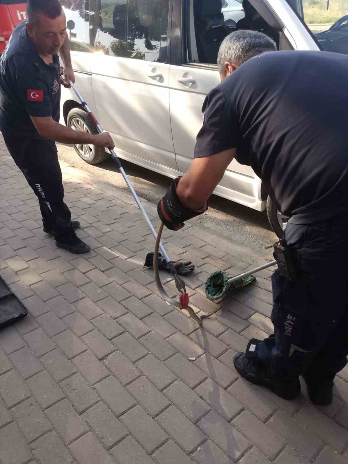 Minibüsün motoruna giren yılan itfaiye ekiplerini harekete geçirdi
