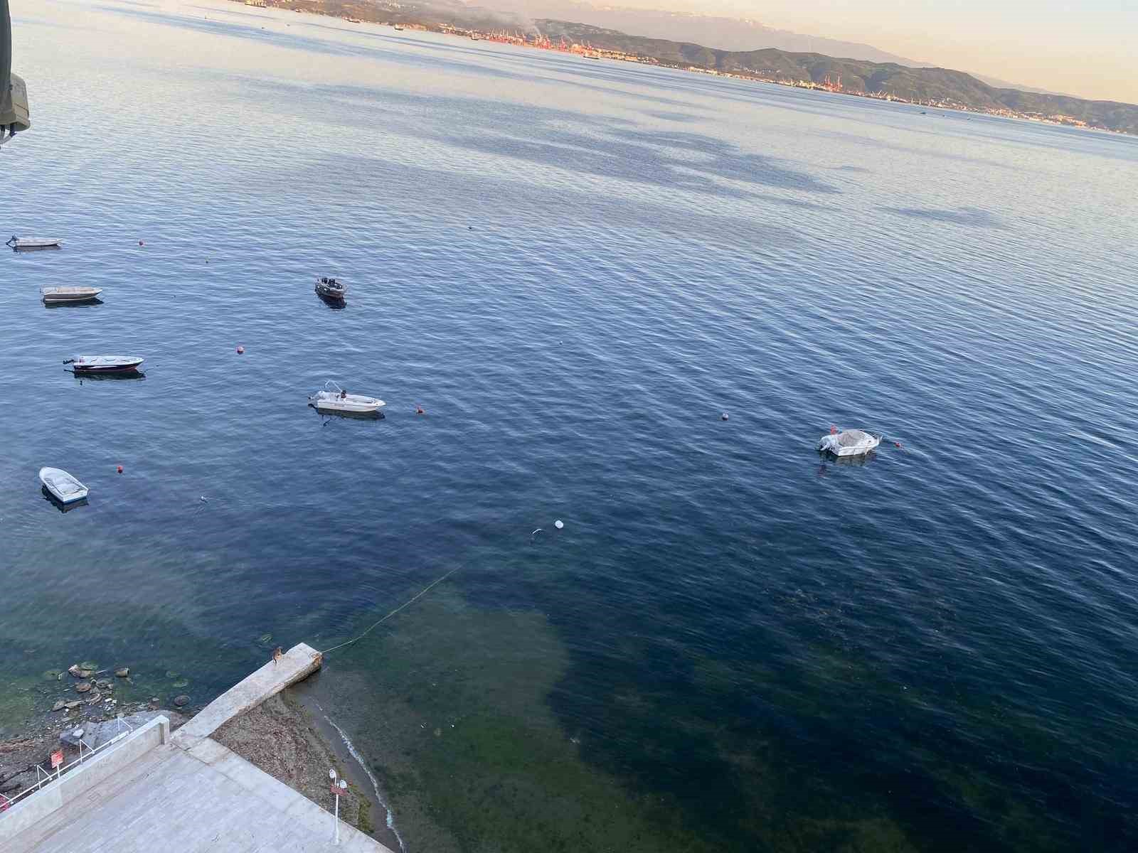 Müsilajın ardından Gemlik Körfezi’nde sevindiren görüntüler
