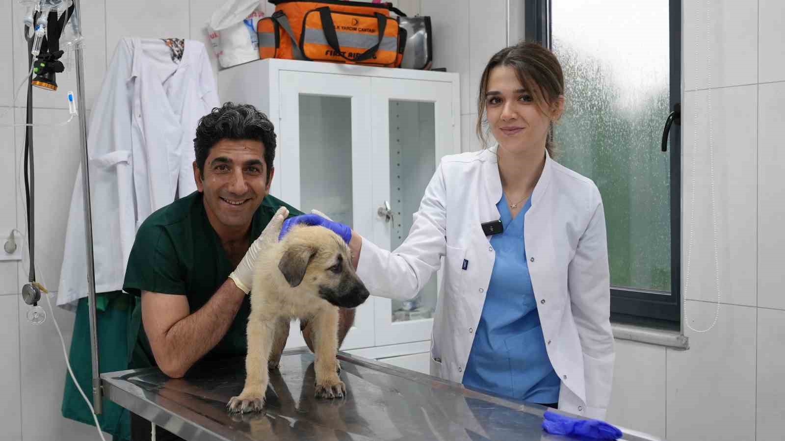 Ödüllü Hayvan Bakım Merkezi can dostlara umut oluyor

