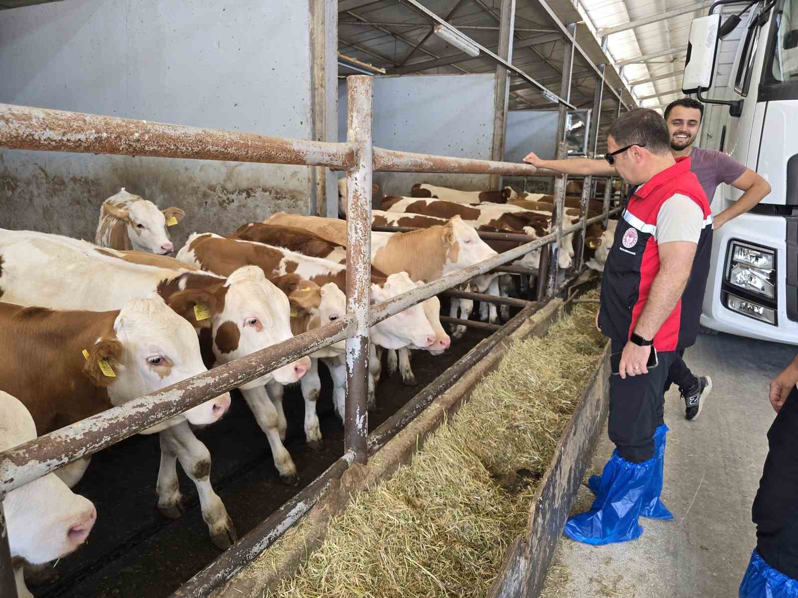 Orhaneli’de hayvan yetiştiren işletmeler kontrol edildi
