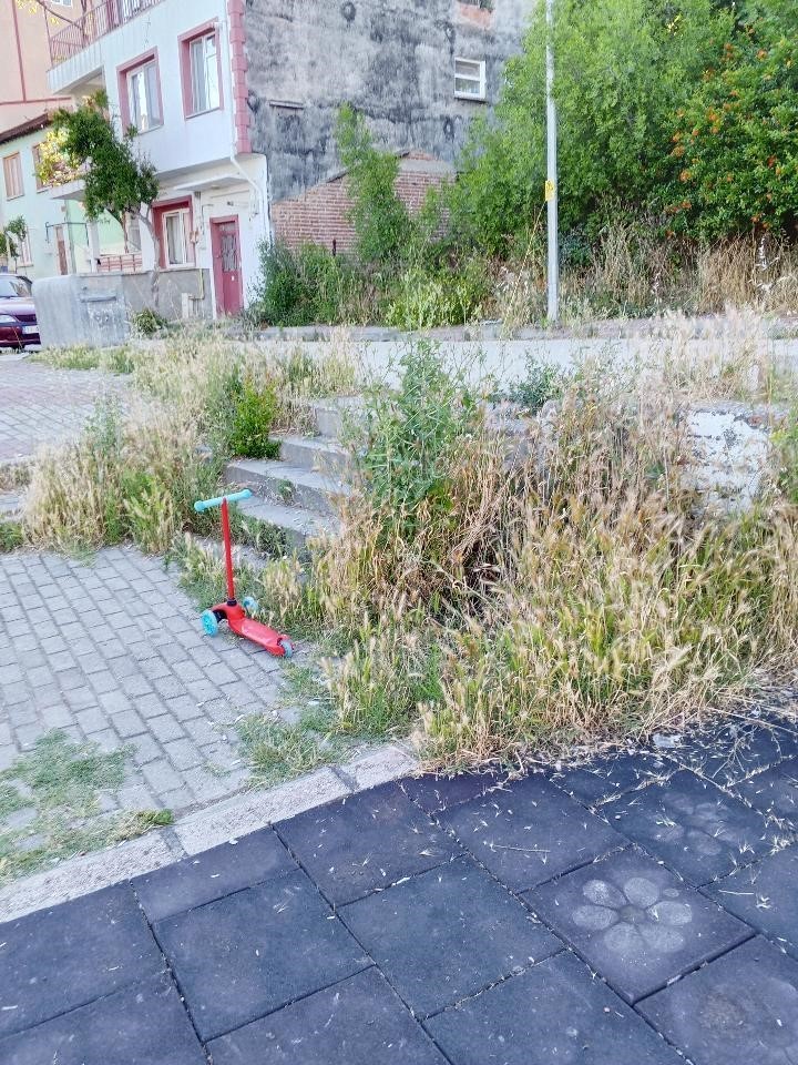 Otluk alana dönen bu park bakım ve temizlik bekliyor
