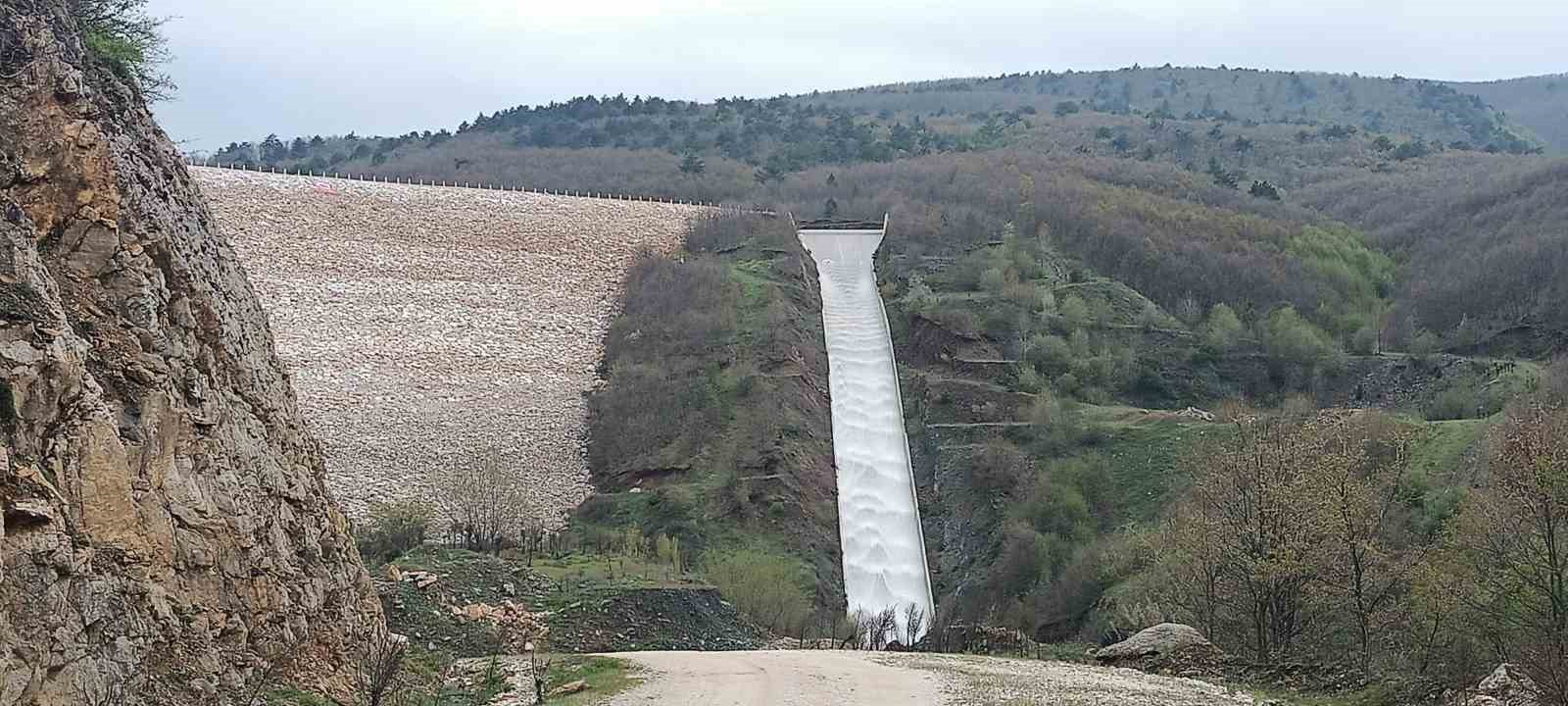 Pazaryeri tarımında altın dönem başlıyor
