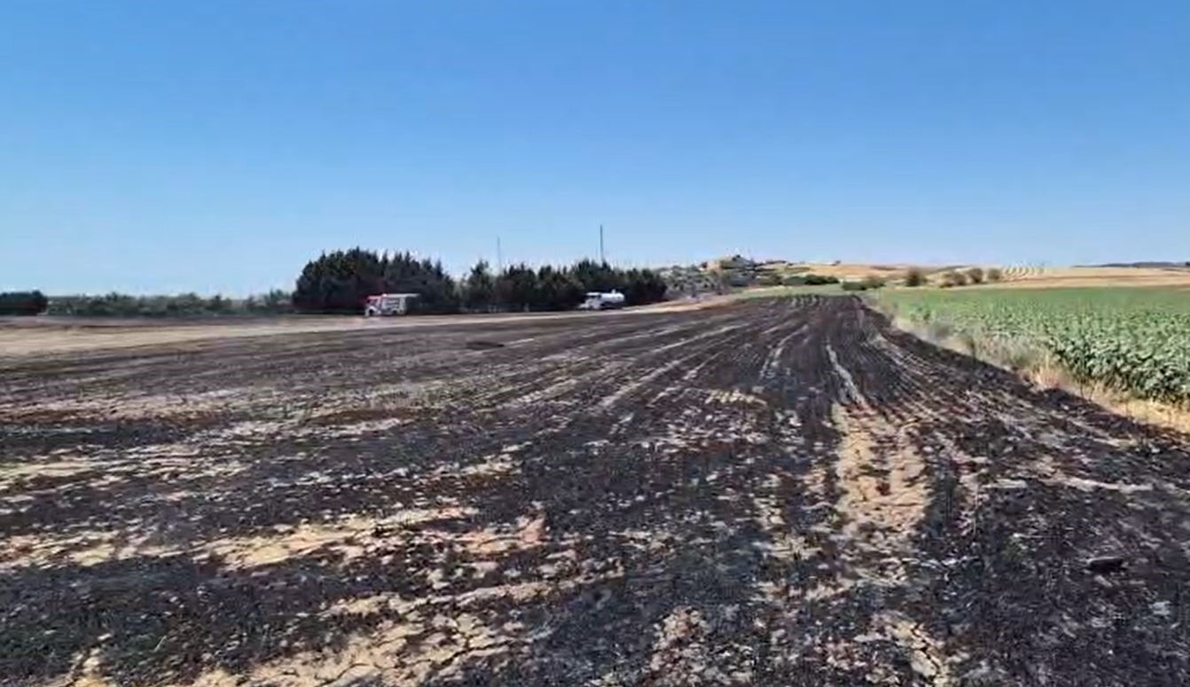 Silivri’de elektrik direği kesimi sırasında yangın: Ekili araziler zarar gördü
