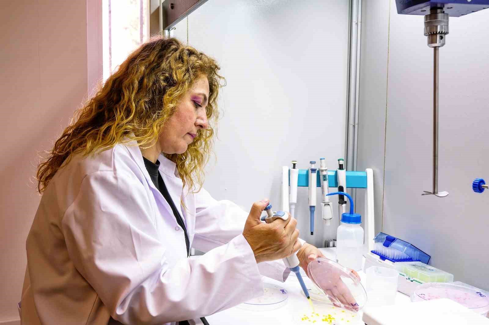 Tarımda kalite ve verimliliği güçlendiren yenilikçi test yöntemi

