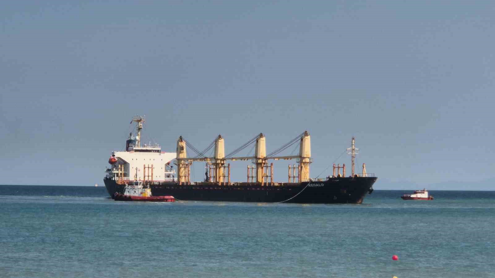 Tekirdağ’da 169 metrelik gemi karaya oturdu
