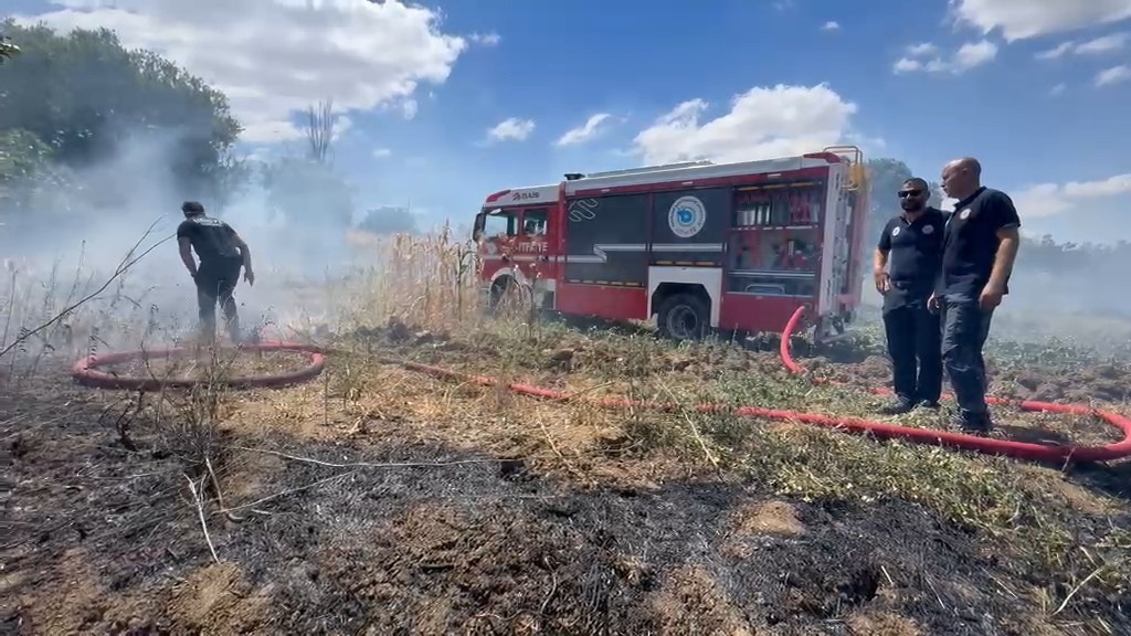 Tekirdağ’da anız yangını 100 dekarlık alana zarar verdi
