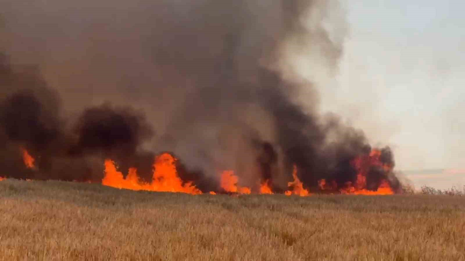Tekirdağ’da buğday tarlalarına sıçrayan yangında 300 dönüm alan kül oldu
