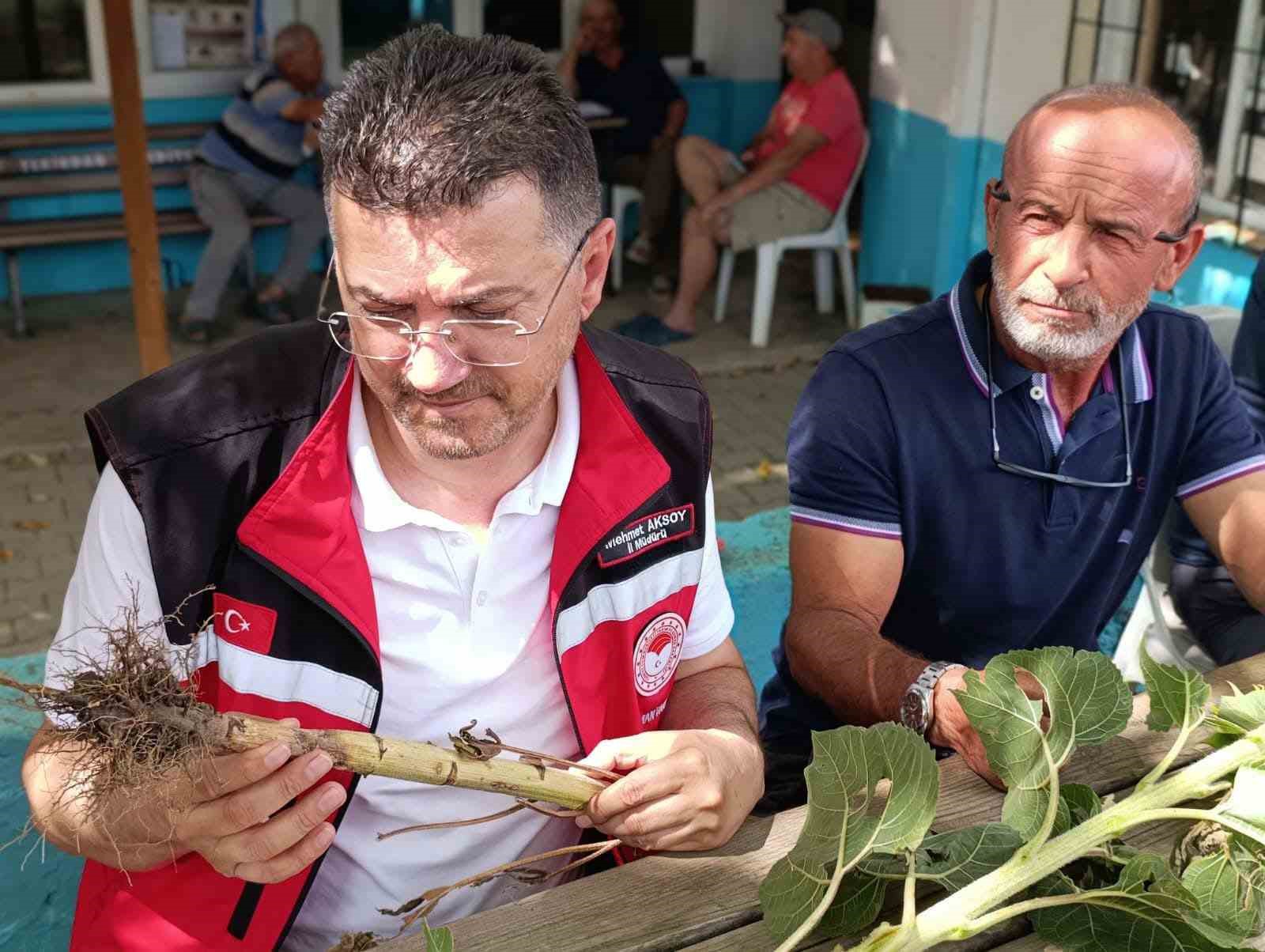 Tekirdağ’da dolunun vurduğu köylerde hasar tespit çalışmaları sürüyor
