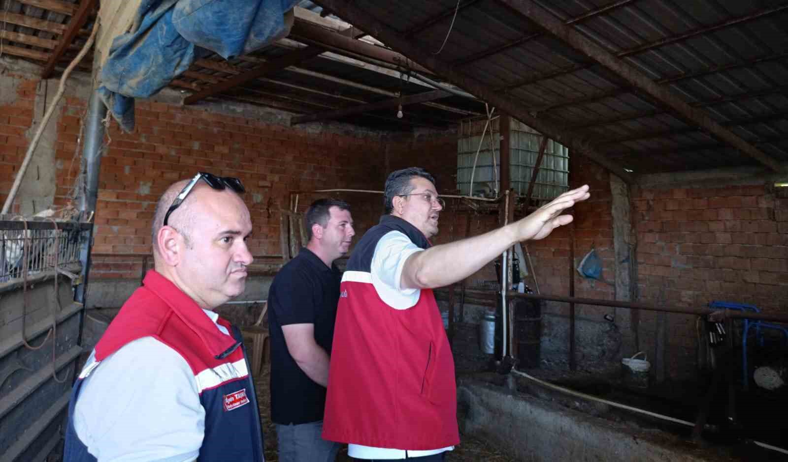 Tekirdağ’da hayvancılık faaliyetleri yerinde incelendi

