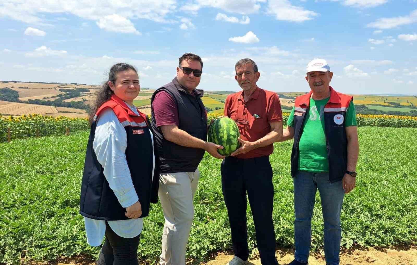 Tekirdağ’da ilk karpuz hasadı başladı
