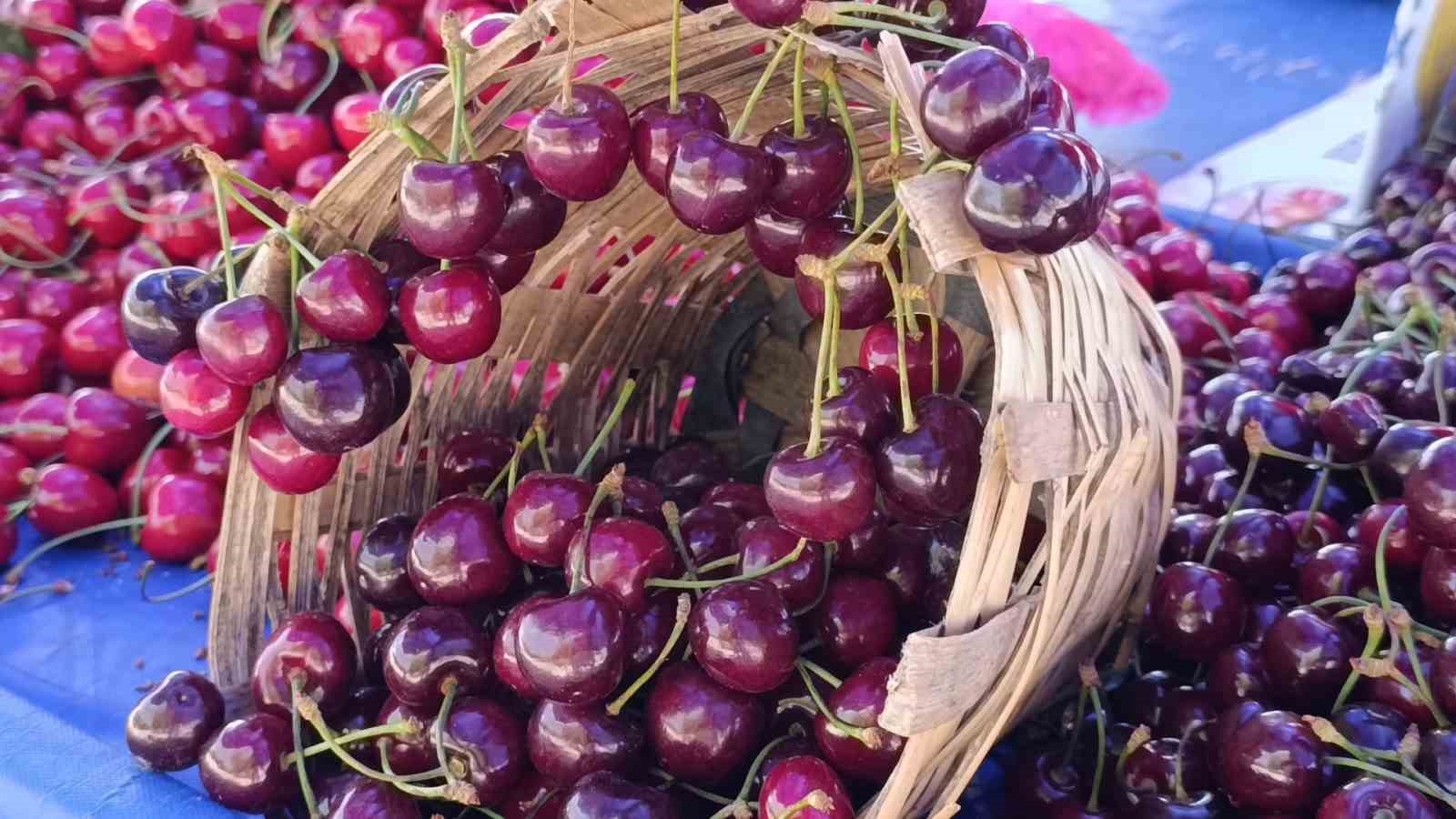 Tekirdağ’da kiraz fiyatları düşüşe geçti: 250 TL’den 150-100 TL bandına geriledi
