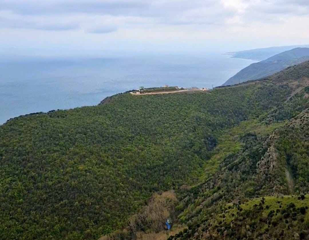 Tekirdağ’da ormanlara giriş 12 Hazirandan itibaren yasaklandı
