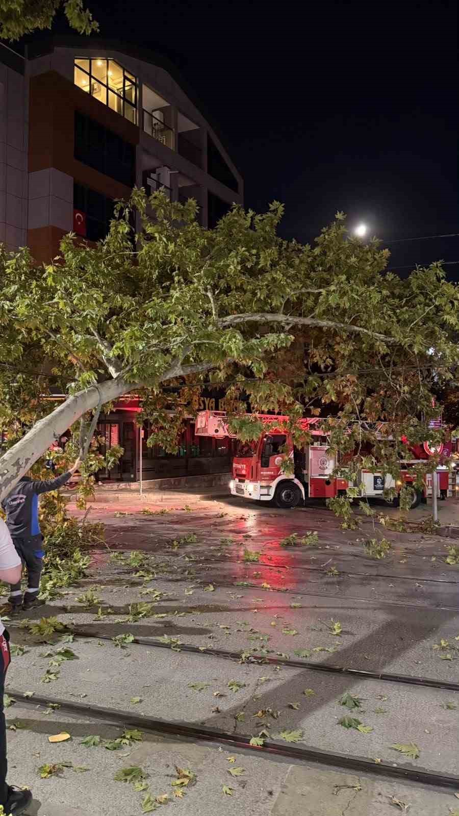 Tramvay hattına düşen dal seferleri aksattı
