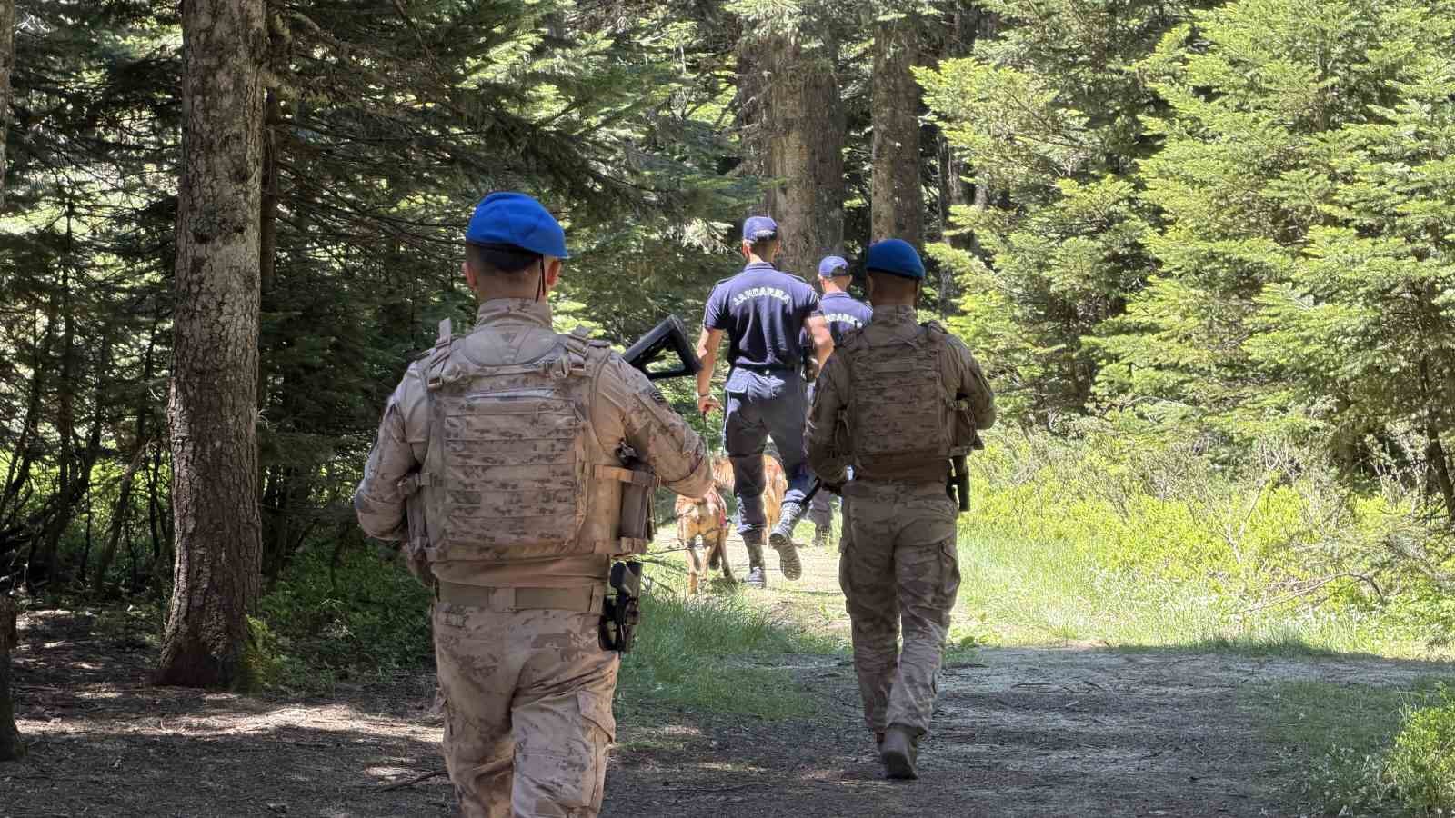 Uludağ’ın zümrüt yeşili ormanları Jandarma’ya emanet
