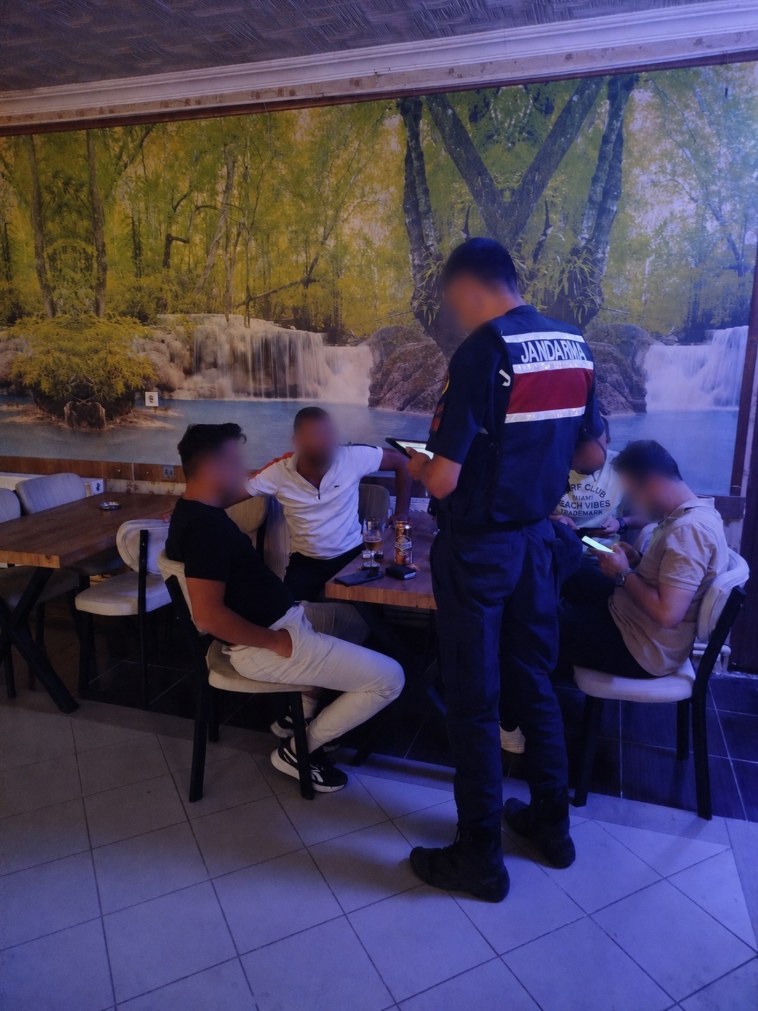 Umuma açık iş yerlerine alkol denetimi
