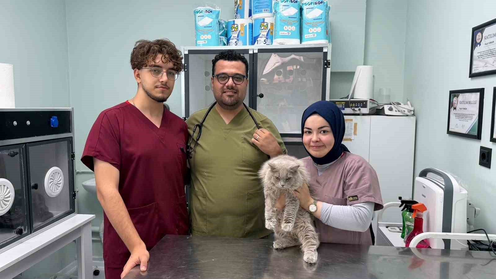 Veterinerde deprem etkisi yapan kedi Türkiye’nin gündeminde
