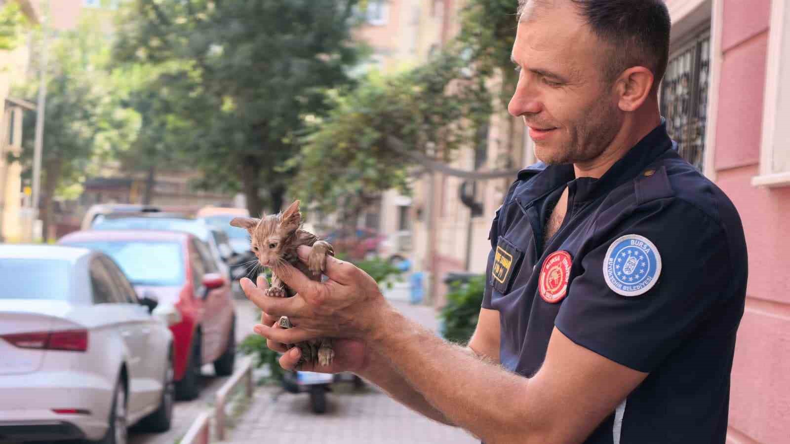 Yağmur suyu giderine sıkışan kediyi itfaiye kurtardı
