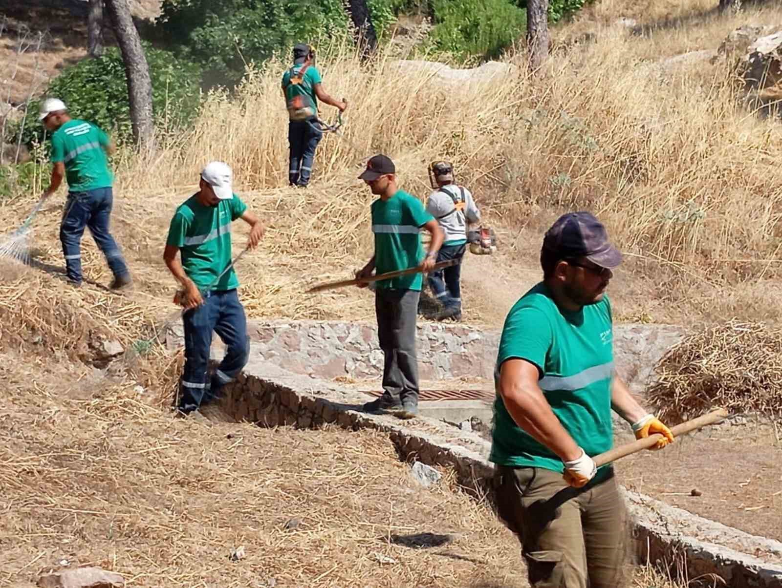 Yangınlara karşı Ayvalık’ta kuru ot temizliği aralıksız sürüyor
