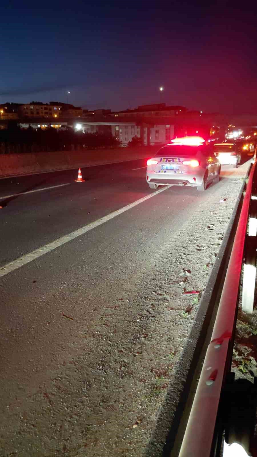 Yola çıkan atlar zincirleme kazaya neden oldu
