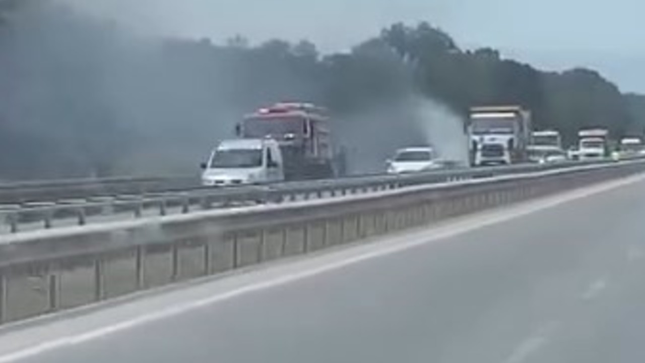 İzmir-Bursa kara yolunda alevler korkuttu